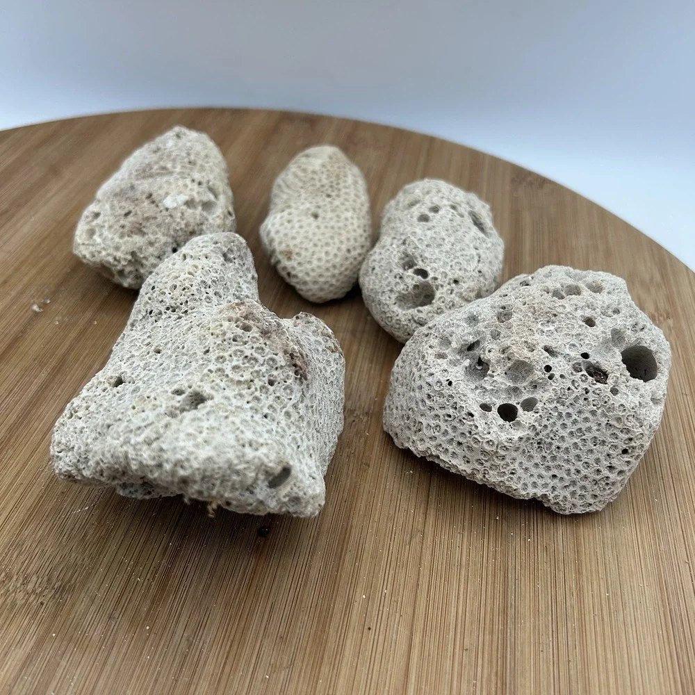 5 Pieces Coral Rocks Rare Vintage Ocean Stone Saltwater Fish Tank Aquarium Decor